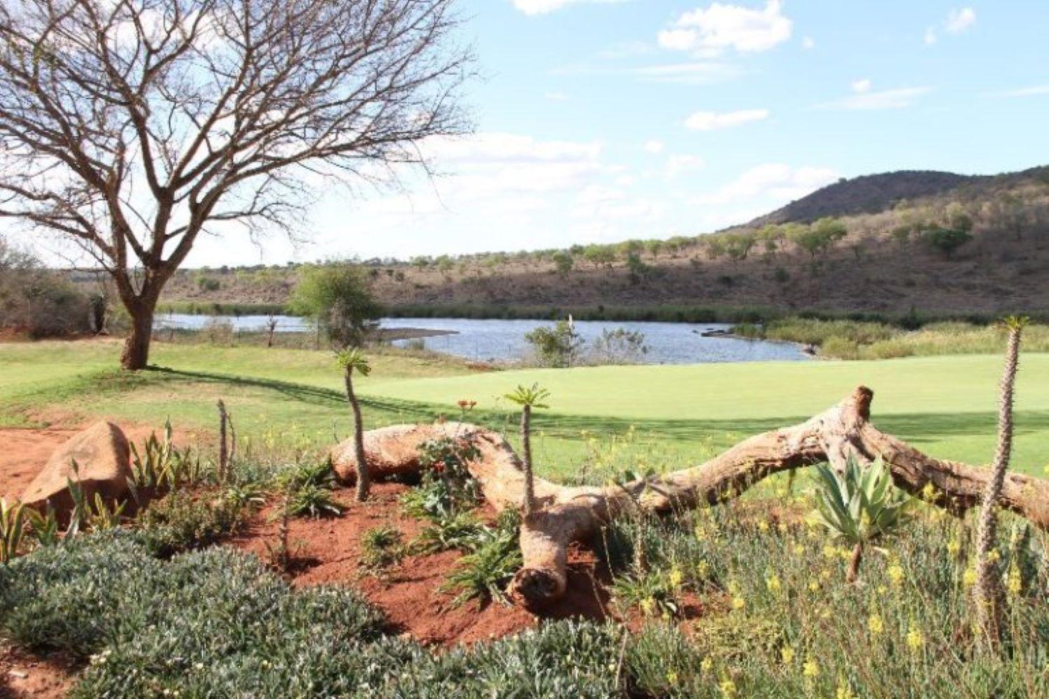 Wielewaal Bush Lodge Marloth Park Extérieur photo