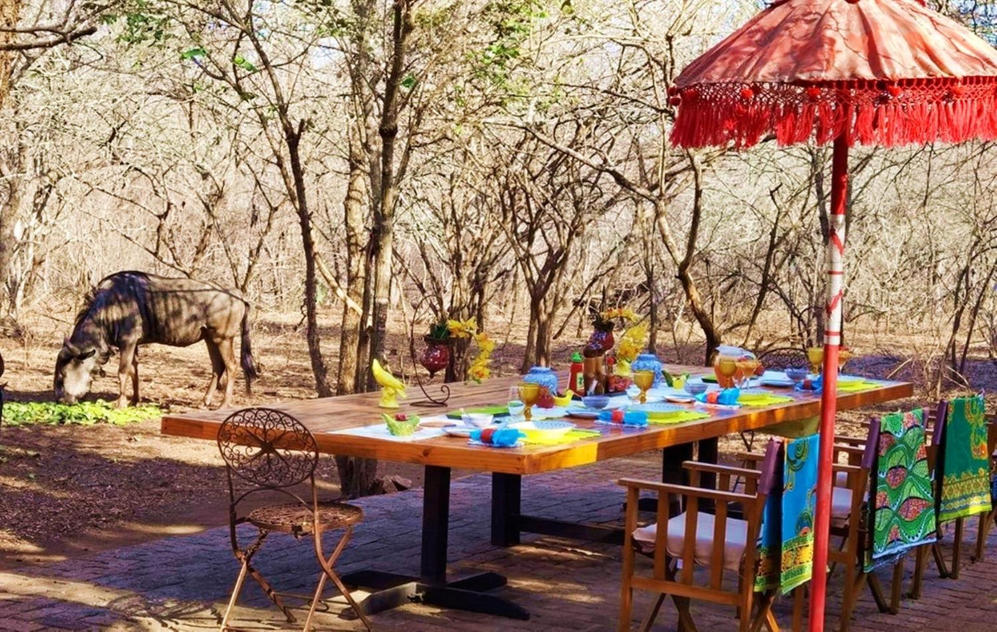 Wielewaal Bush Lodge Marloth Park Extérieur photo
